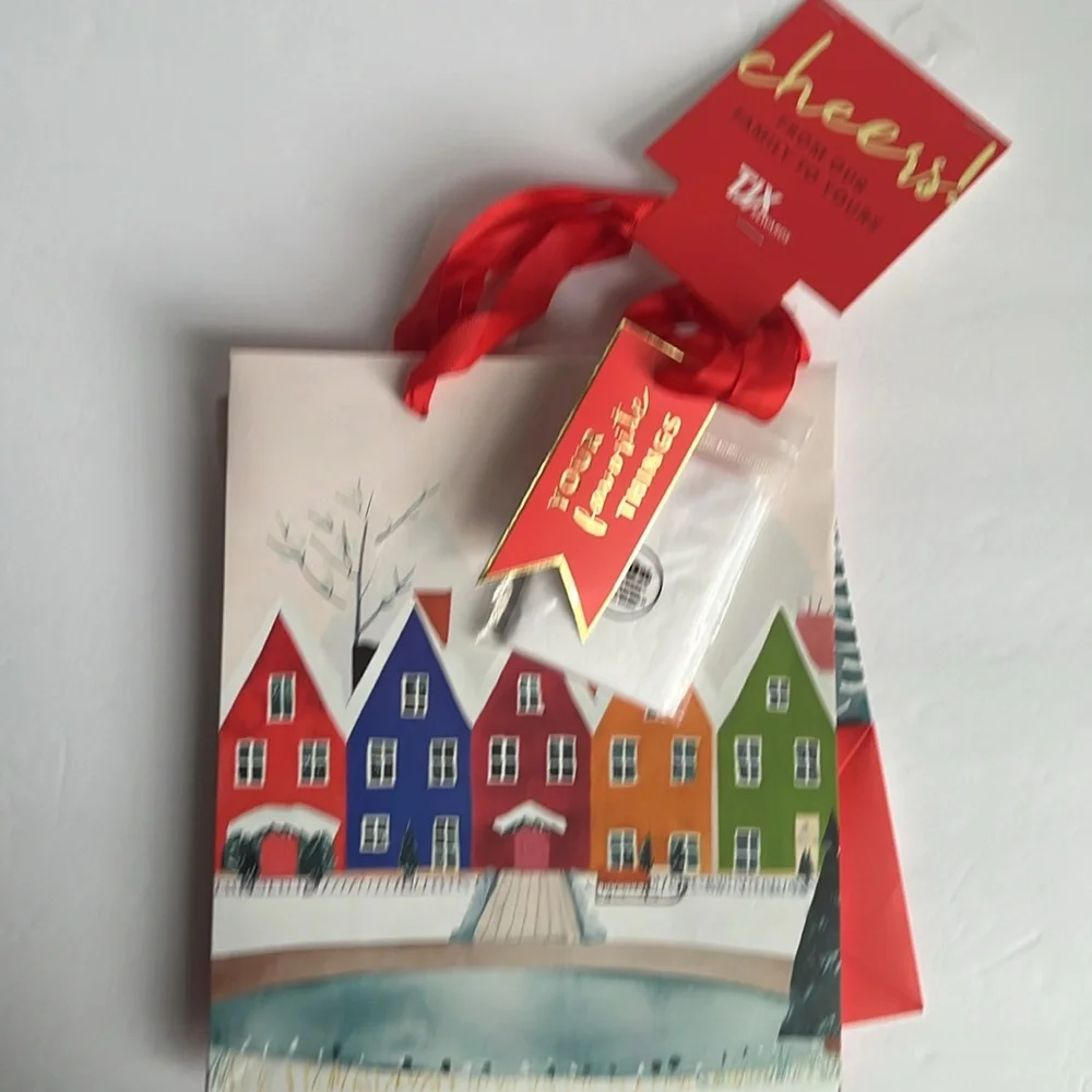 Gift Bags with Tissue and Tags 2 Gift Bags NWT